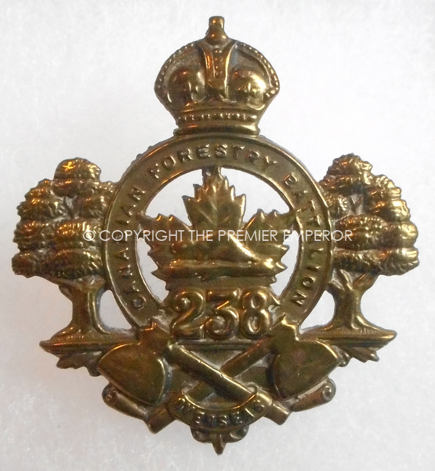 238th Canadian Forestry Battalion.C.E.F. 1914/18