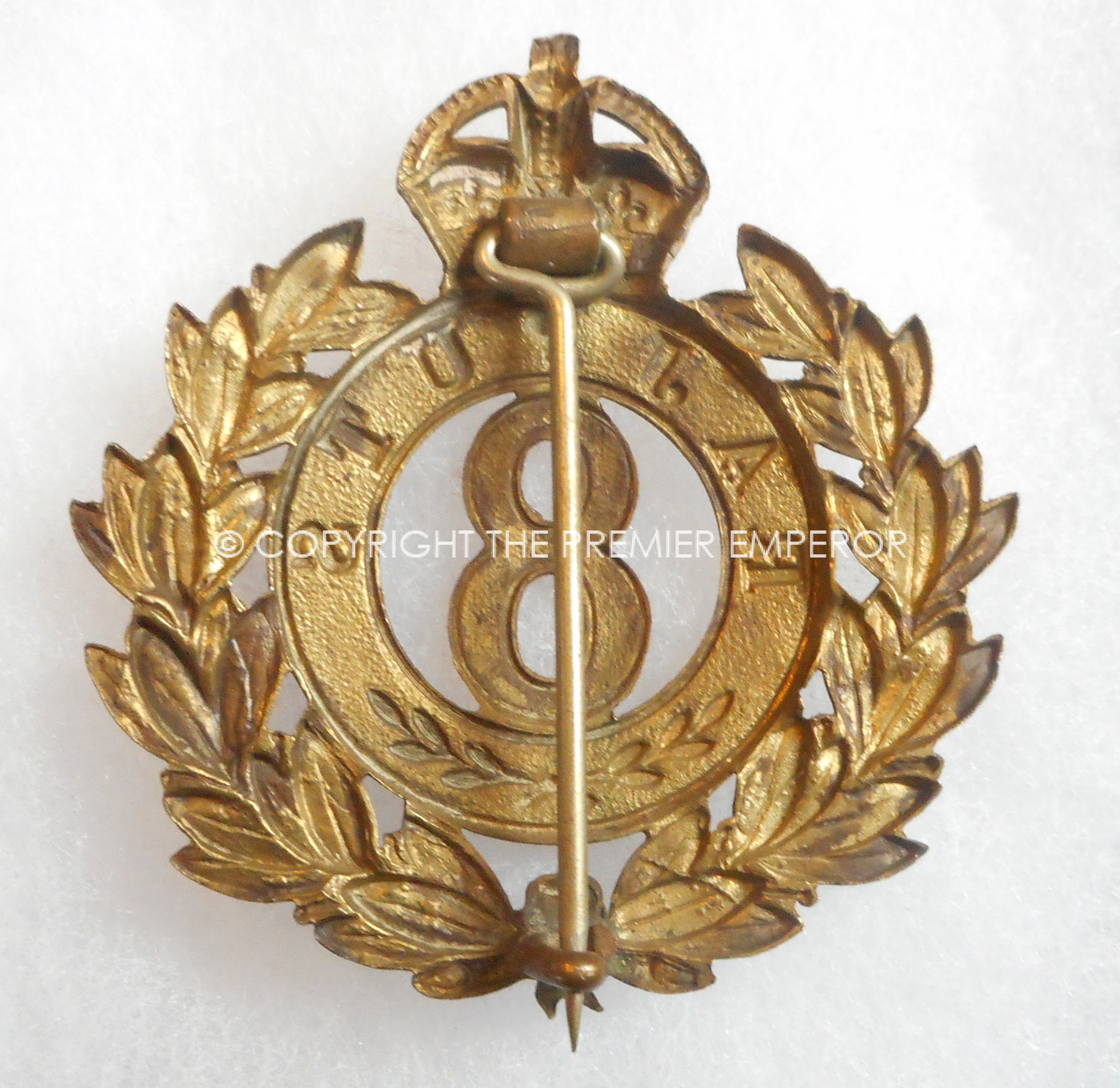 Indian Expeditionary Force 1914/18. 8th Rajputs.