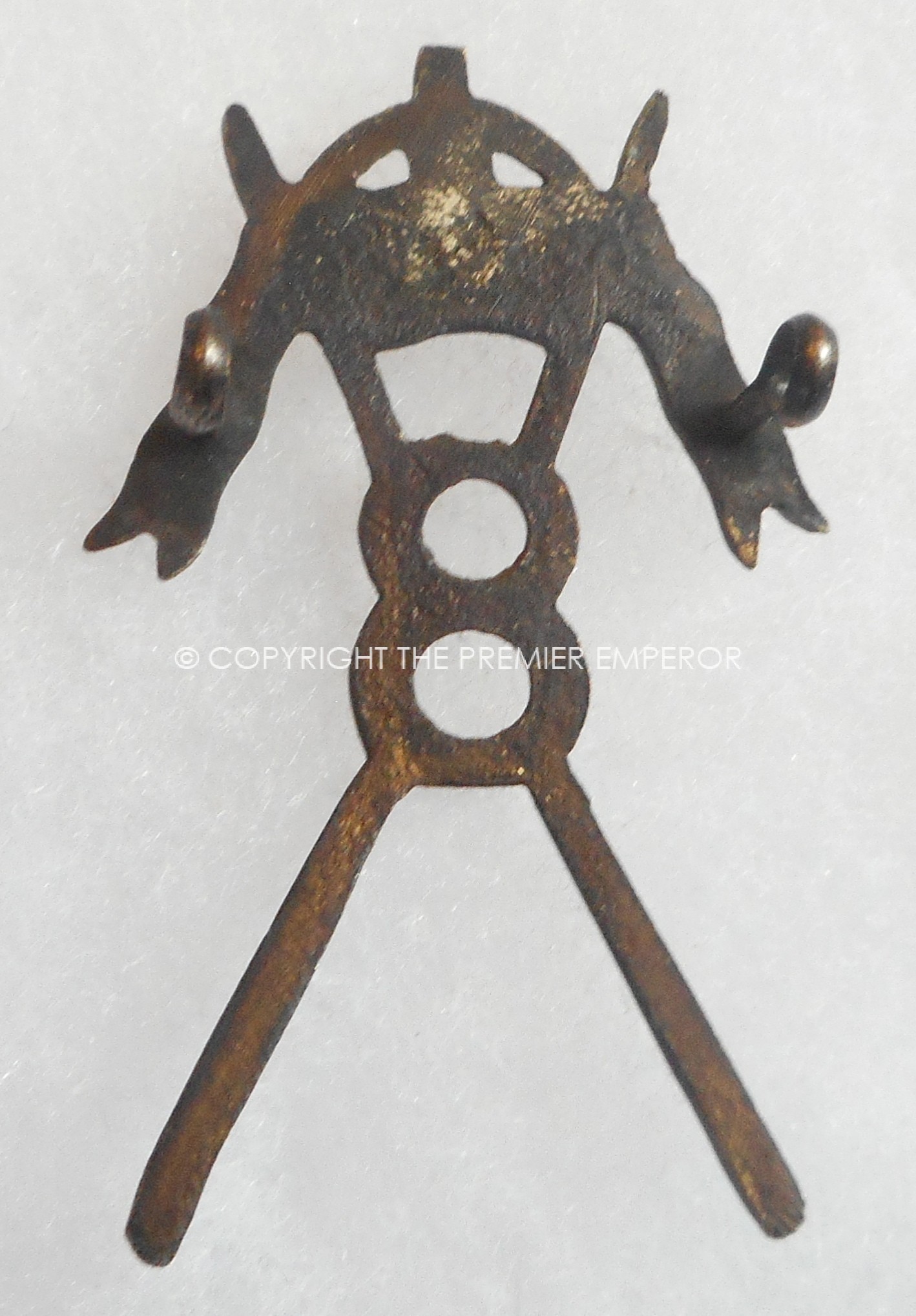 Indian Army Expeditionary Force.1914-18. 8th cavalry.