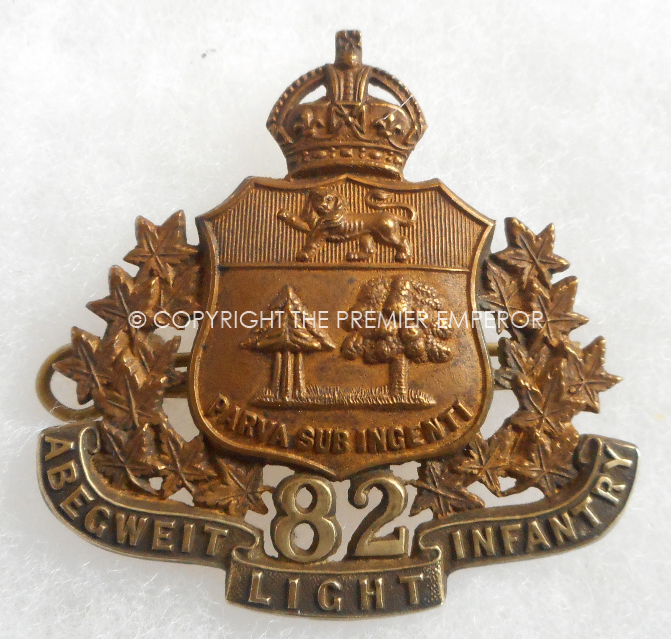 Abgeriet Light Infantry.Circa.1906(Officers).