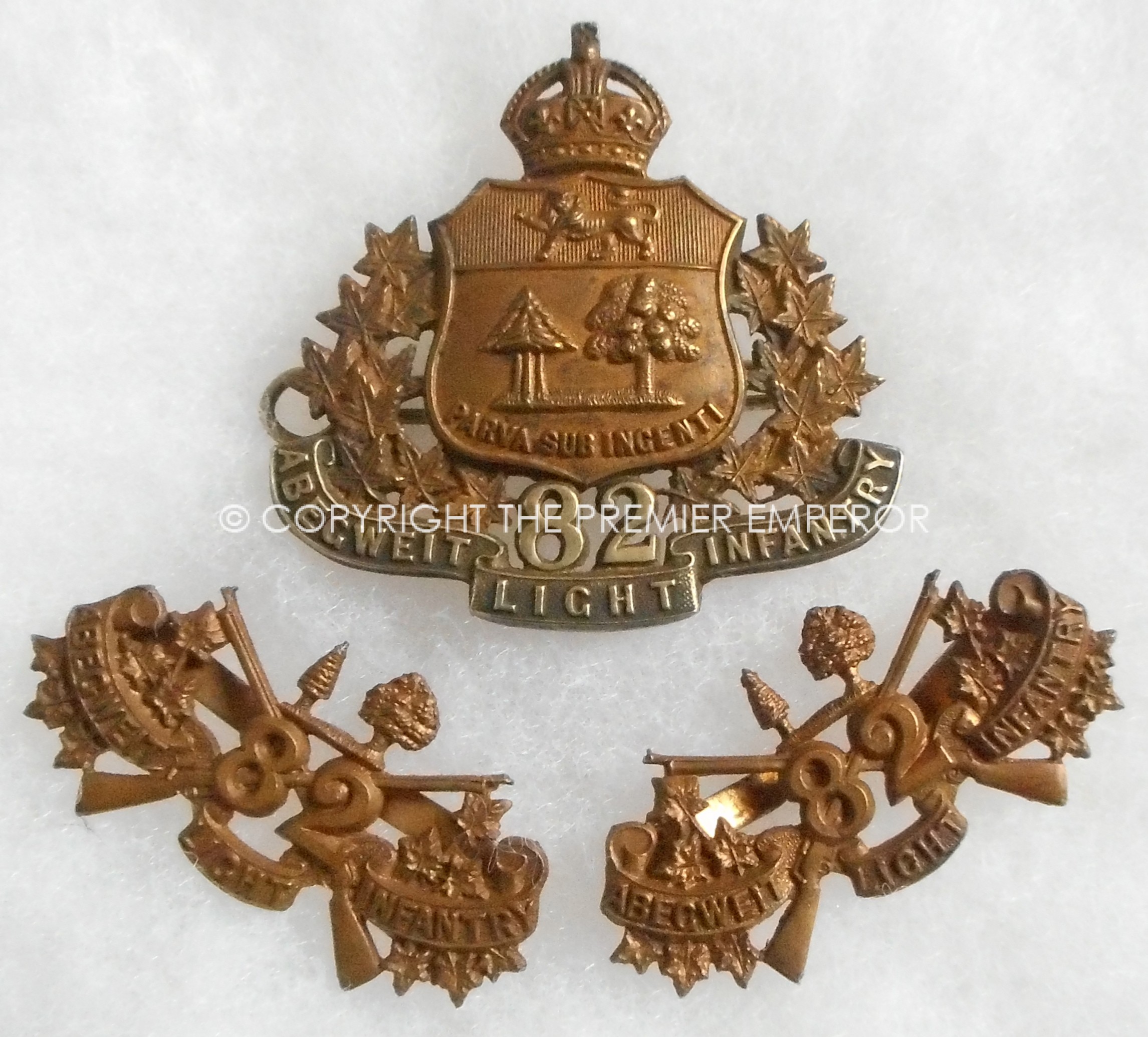 Abgeriet Light Infantry.Circa.1906(Officers).