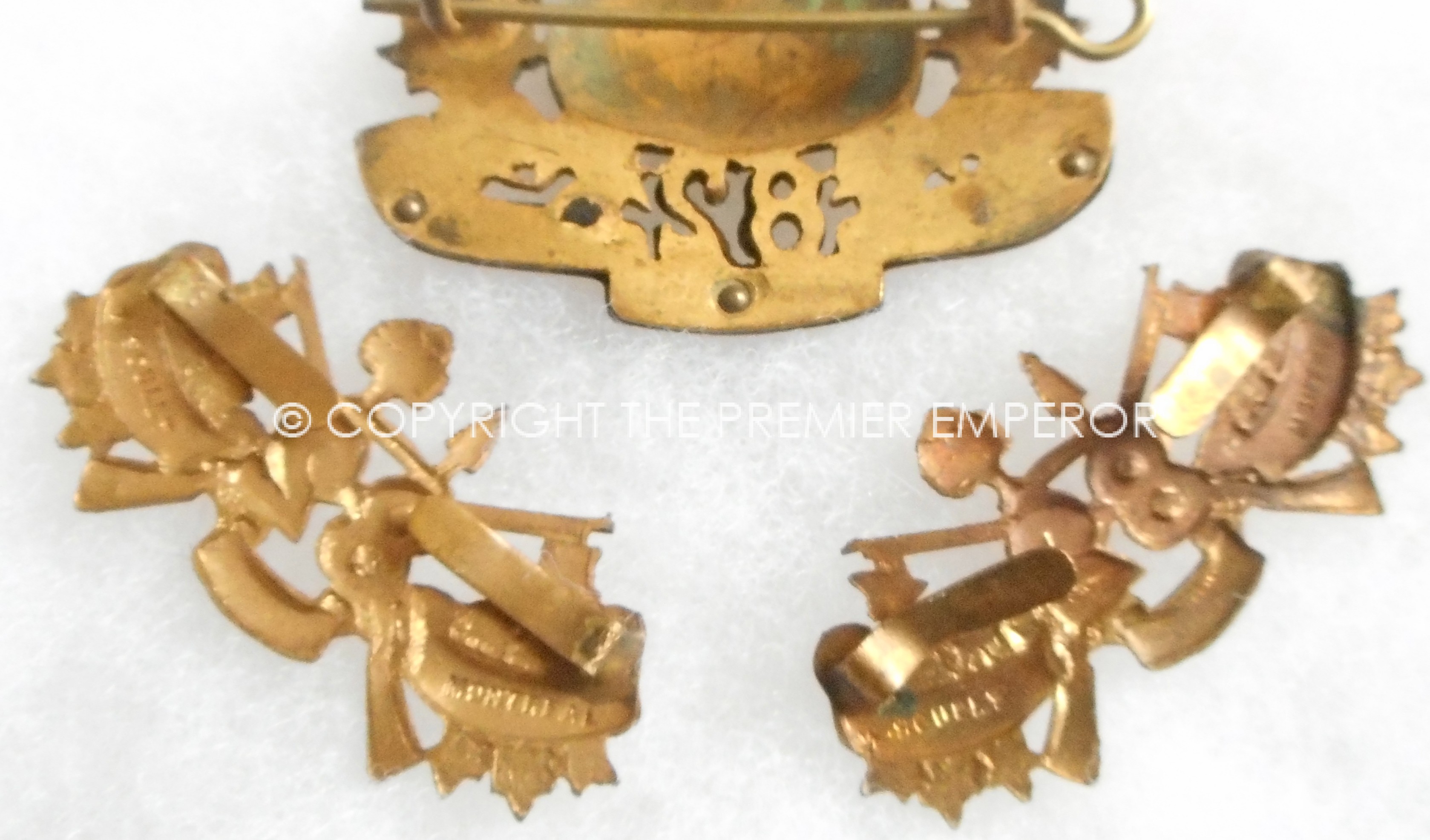 Abgeriet Light Infantry.Circa.1906(Officers).