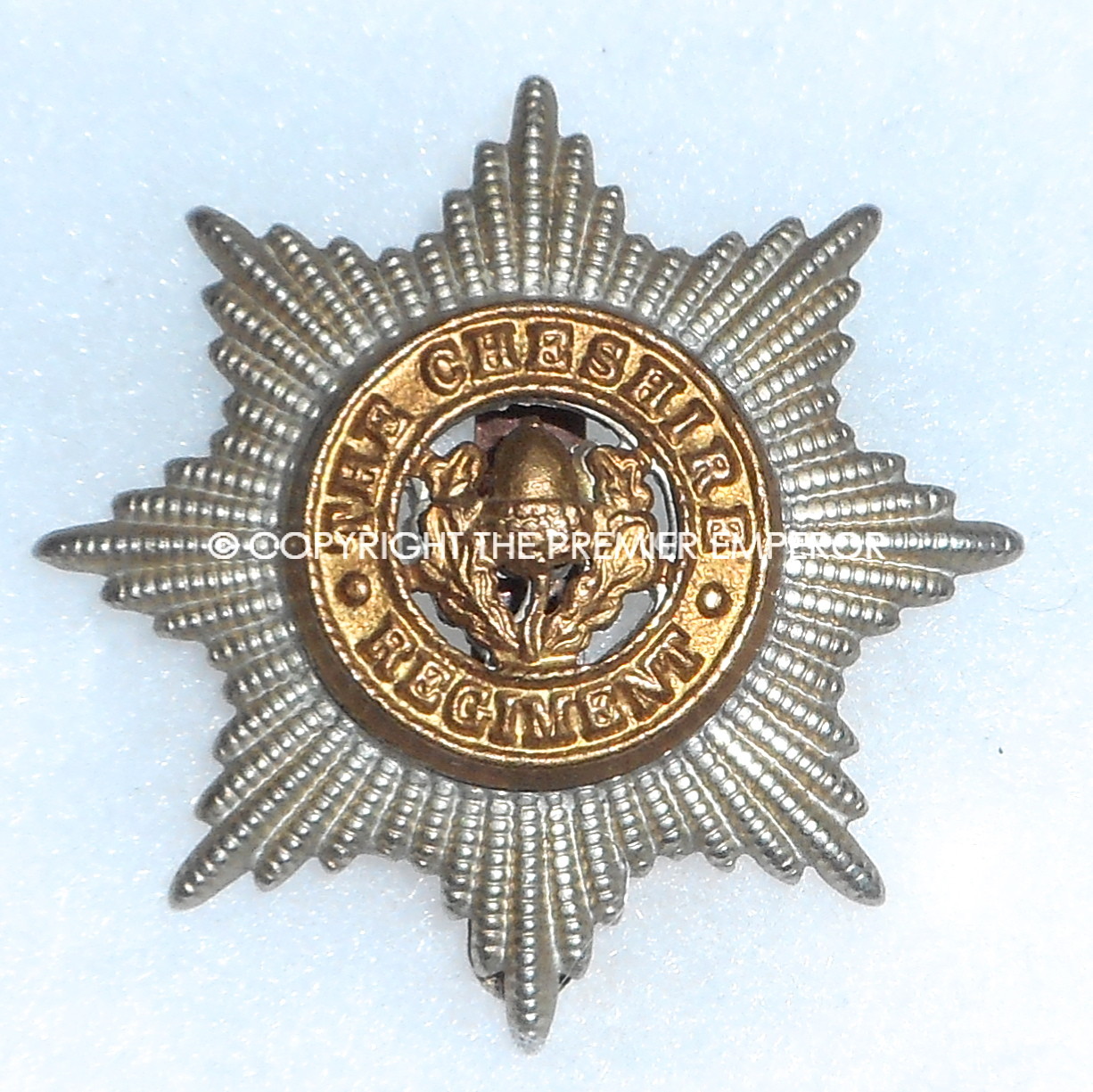 British. The Cheshire Regiment cap badge.