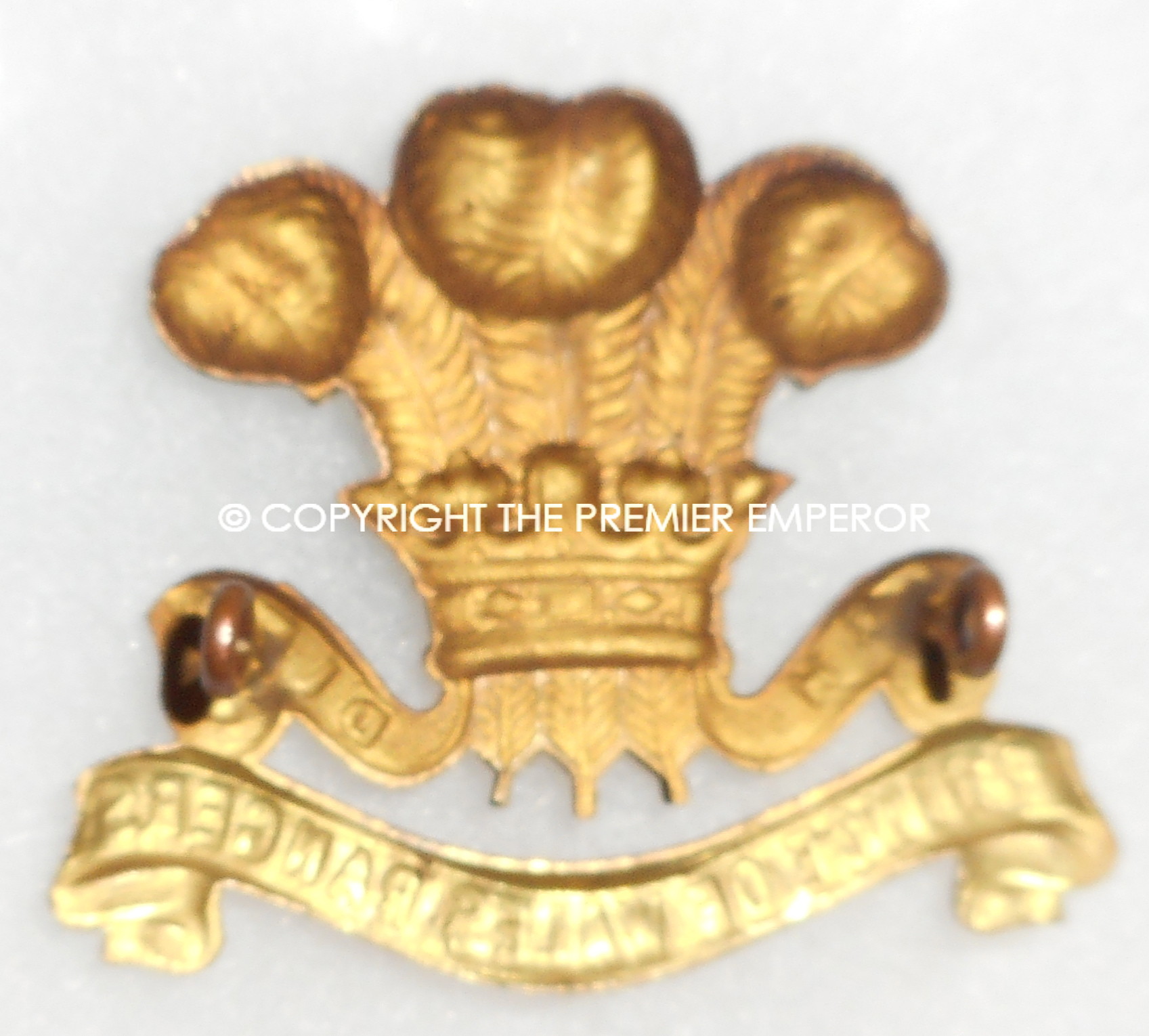Canada. The Prince of Wales Rangers(The Peterborough Regiment) cap badge. Circa.1920-36