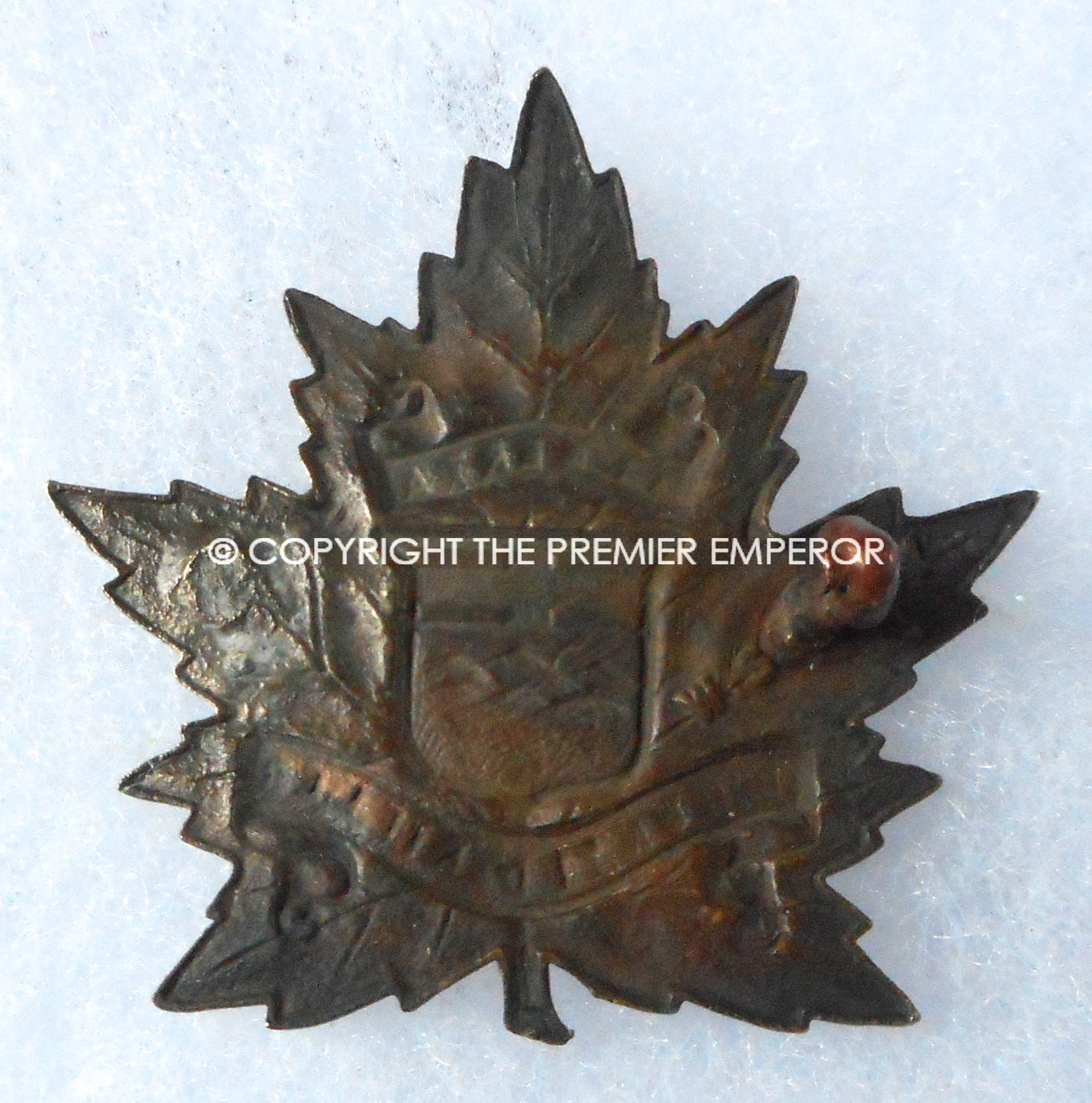 Canada. The Alberta Mounted Rifles cap badge. Circa.1924